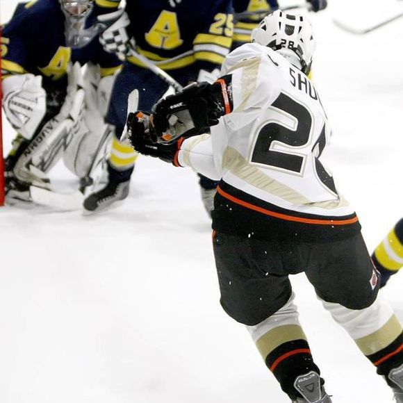 Meet your Posher, Kyle - Picture 1 of 1